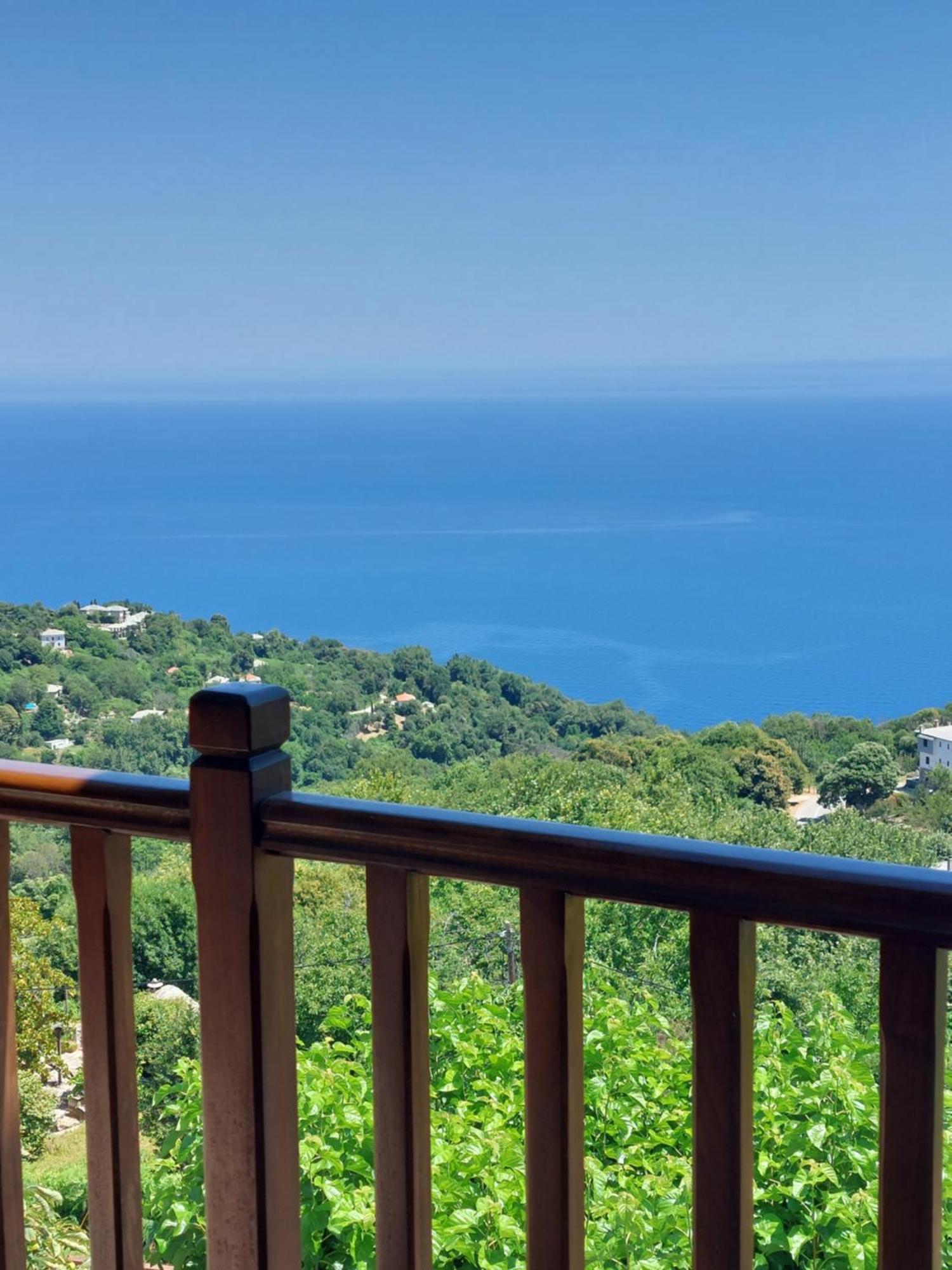 Θαλλώ Luxurious Villa Tsagarada Rum bild